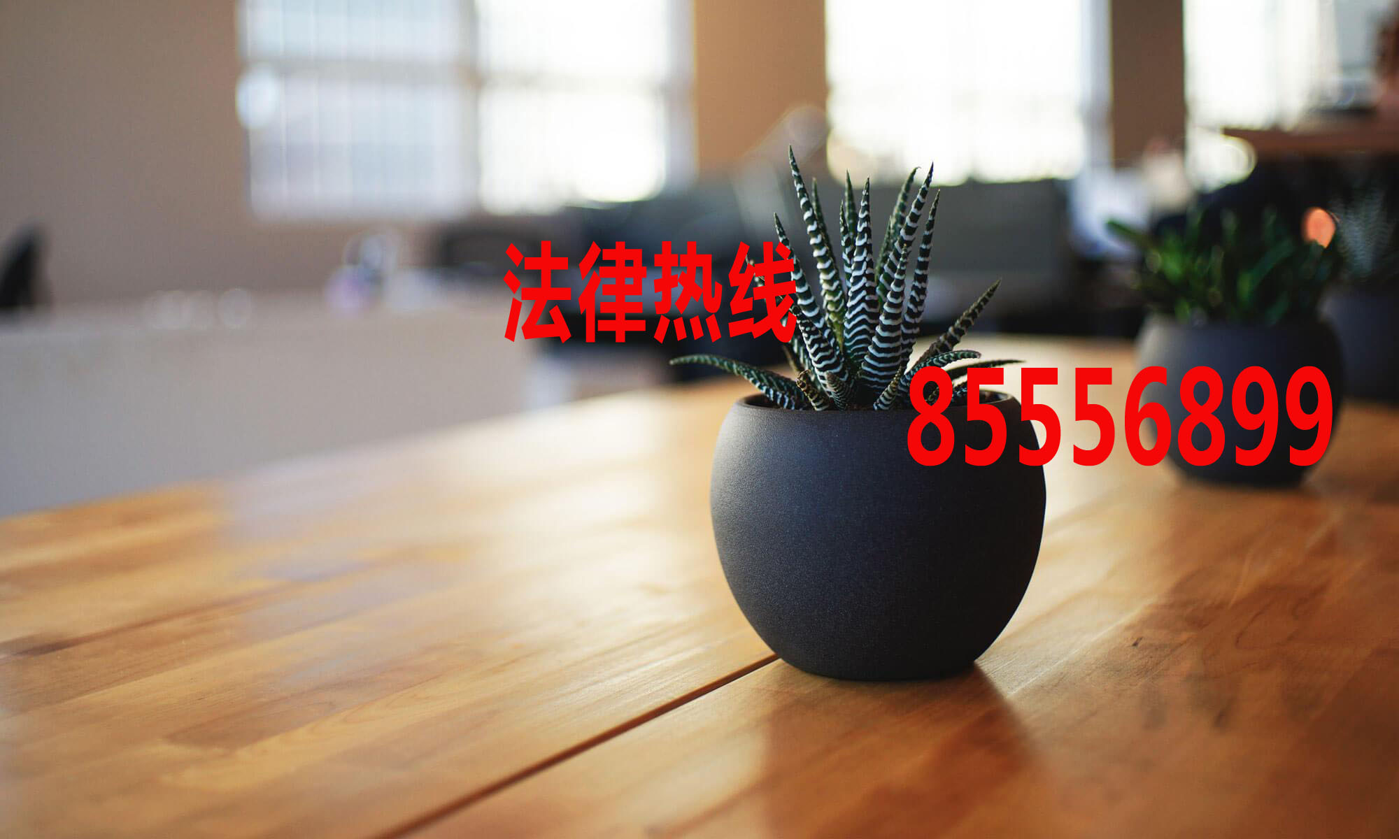 瑞安市律师15356291688_温州市瑞安律师